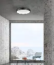 8105611_5.webp