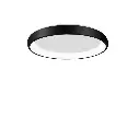 8105611_4.webp