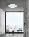 ALBI_8105606 D_1.webp
