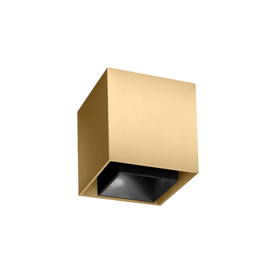 BOX 1.0 LED CHAMPAGNE COVER BLACK SURFACE LIGHT.webp