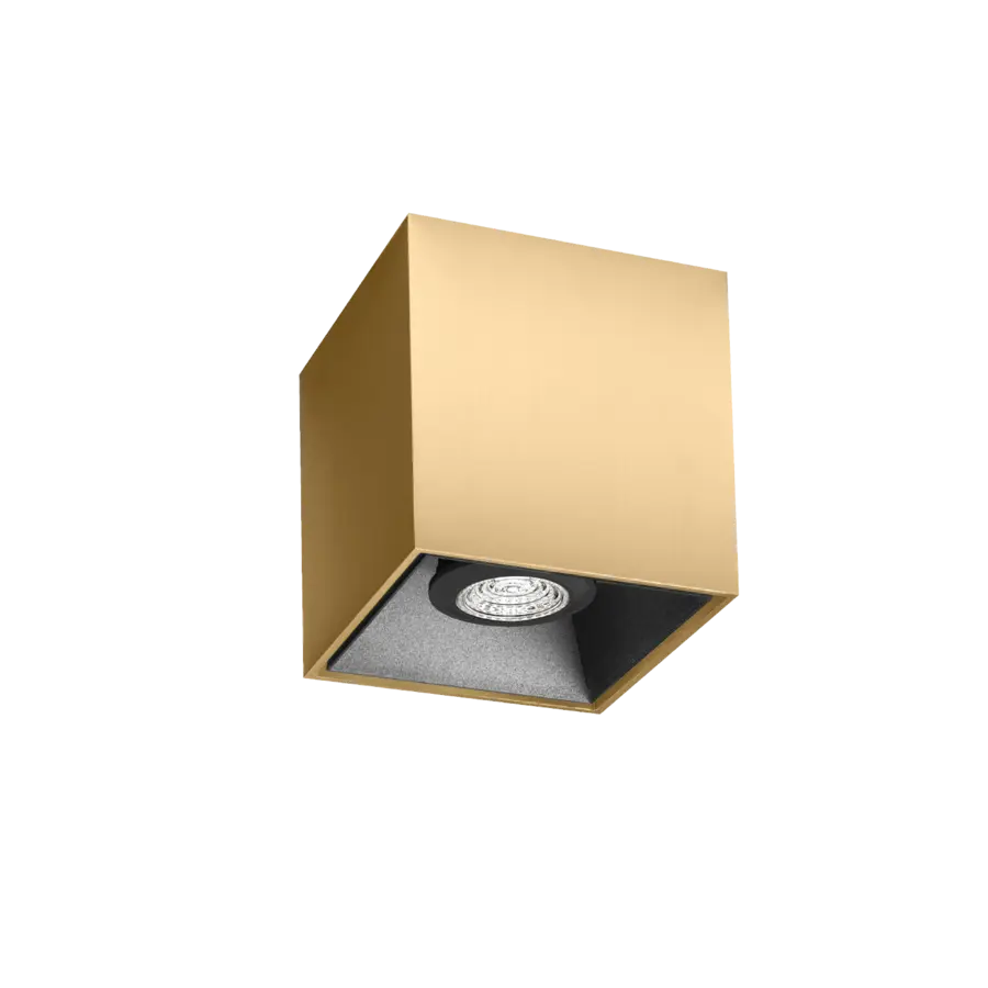 BOX 1.0 PAR16 CHAMPAGNE REFLECTOR BLACK SURFACE LIGHT.webp