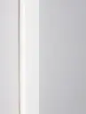 9081500_5.webp
