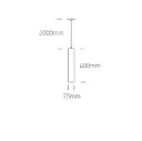 berlo_black_sketch.webp