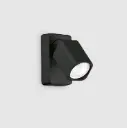Rudy_ap1_black.webp
