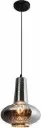 dorea 17053.webp