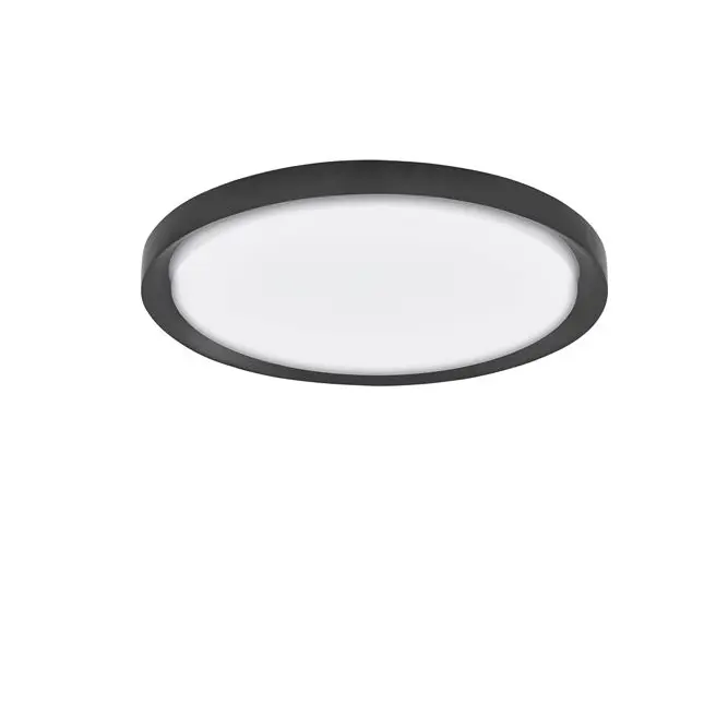 9053592_2 black.webp