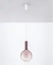 9030543_4 braun.webp