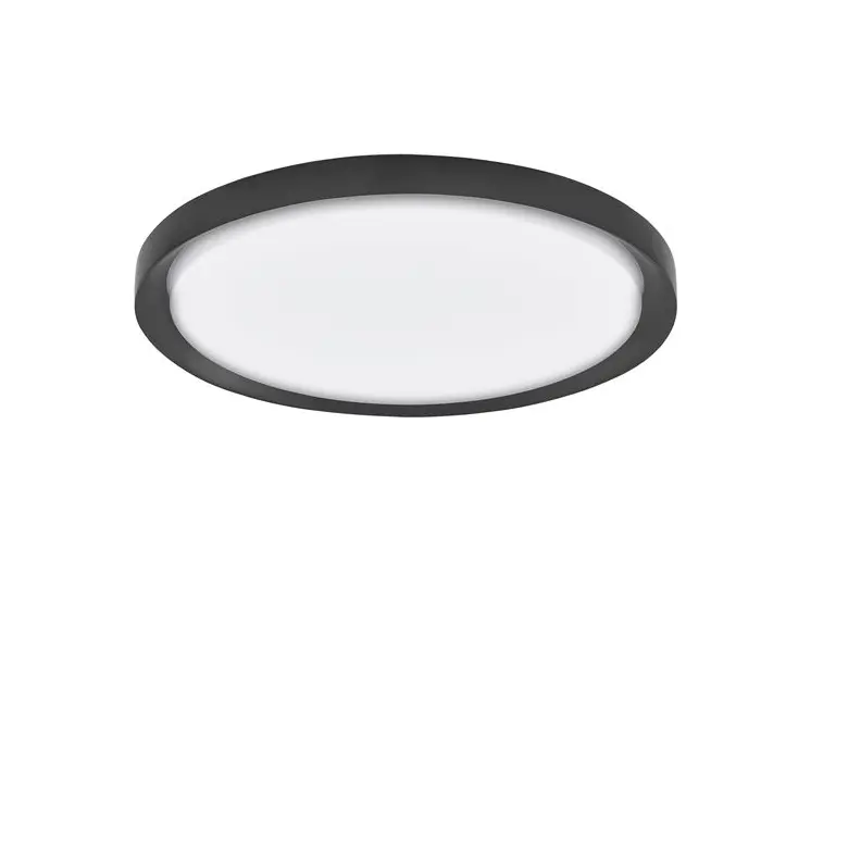 TROY 56 Aufbau 50W TRIAC 230V