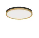 CANTRIA 50 Aufbau 31W 3000K TRIAC