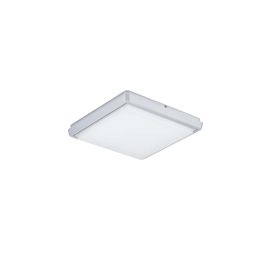 LIGNE STEP IV 38W 230V   