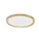 TROY Ø560mm 50W 3000K TRIAC 