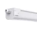DRIUS PLUS Linear 60W mono color 150cm 230V