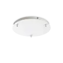 Rosone d300 3
