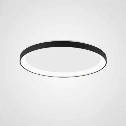 PERTINO 58 Aufbau 48W TRIAC 230V 