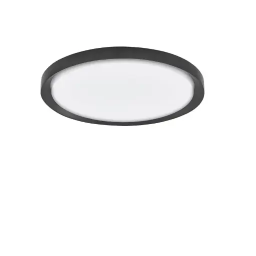[DL9695236-50D] TROY 56 Aufbau 50W TRIAC 230V