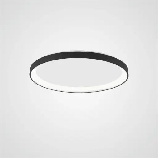 PERTINO 48 Aufbau 38W TRIAC 230V